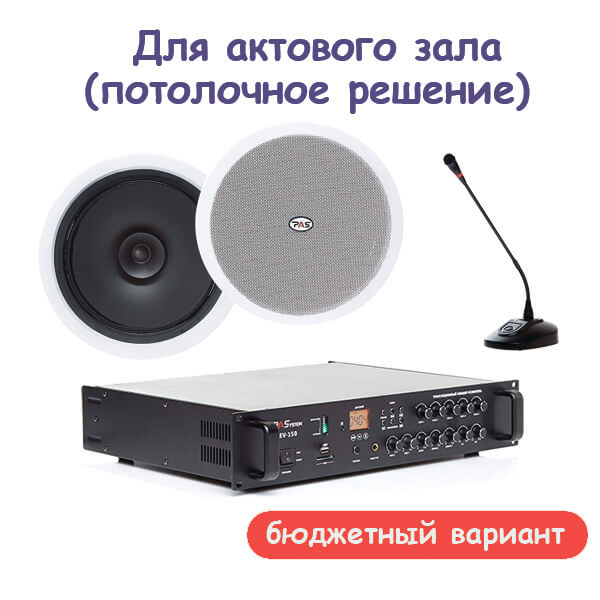 Комплект звукового оборудования для актового зала, потолочное решение (бюджетный вариант вариант)