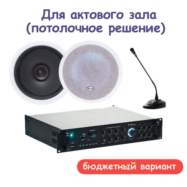 Комплект звукового оборудования для актового зала, потолочное решение (бюджетный вариант)