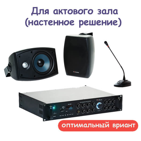Комплект звукового оборудования для актового зала, настенное решение (оптимальный вариант)